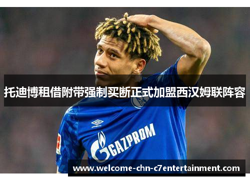 托迪博租借附带强制买断正式加盟西汉姆联阵容